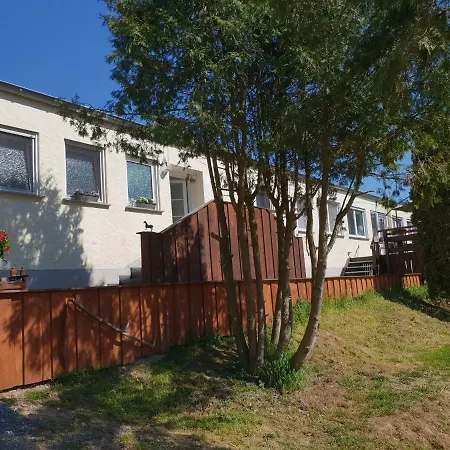 Moderne Black Beauty Auf Idyllischem Reiterhof Naehe Burg Eltz Munstermaifeld