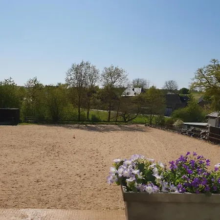 Moderne Black Beauty Auf Idyllischem Reiterhof Naehe Burg Eltz Munstermaifeld