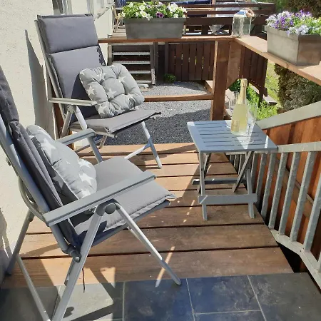 Moderne Black Beauty Auf Idyllischem Reiterhof Naehe Burg Eltz