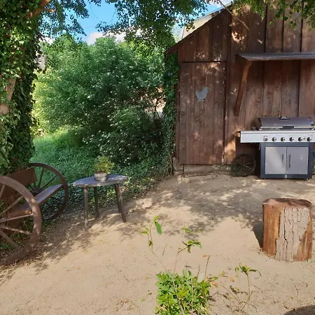 Moderne Black Beauty Auf Idyllischem Reiterhof Naehe Burg Eltz Munstermaifeld