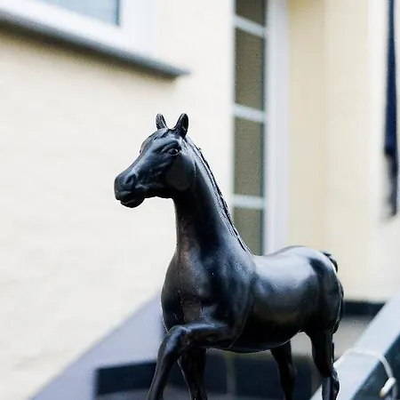 Апартаменты Moderne Black Beauty Auf Idyllischem Reiterhof Naehe Burg Eltz *