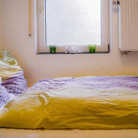 Moderne Black Beauty Auf Idyllischem Reiterhof Naehe Burg Eltz *