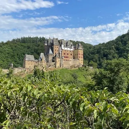 Moderne Black Beauty Auf Idyllischem Reiterhof Naehe Burg Eltz Апартаменты