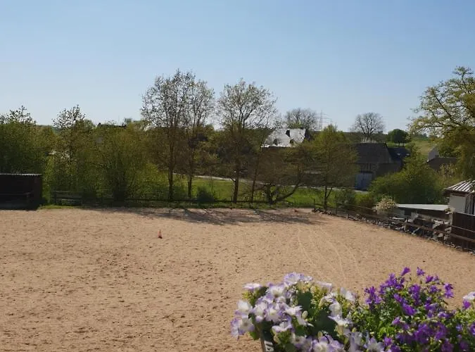 Moderne Black Beauty Auf Idyllischem Reiterhof Naehe Burg Eltz Münstermaifeld