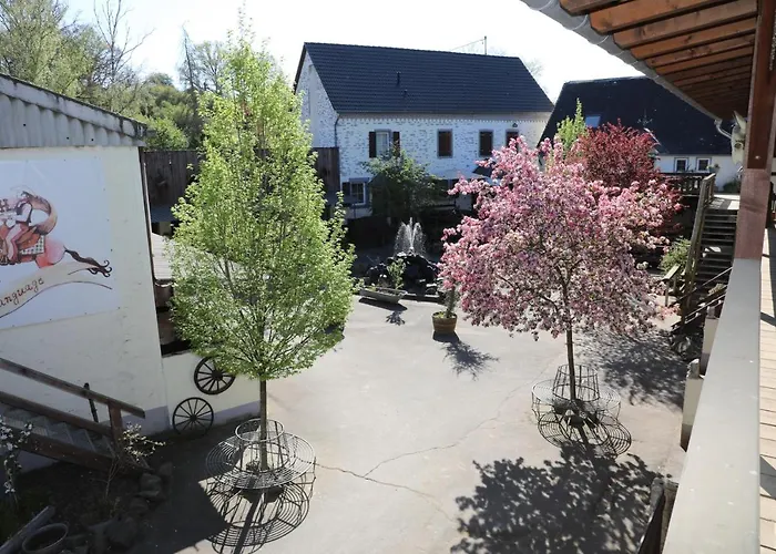 Moderne Black Beauty Auf Idyllischem Reiterhof Naehe Burg Eltz Lägenhet
