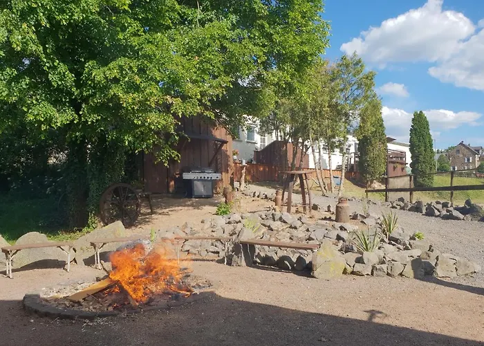 Moderne Black Beauty Auf Idyllischem Reiterhof Naehe Burg Eltz Münstermaifeld