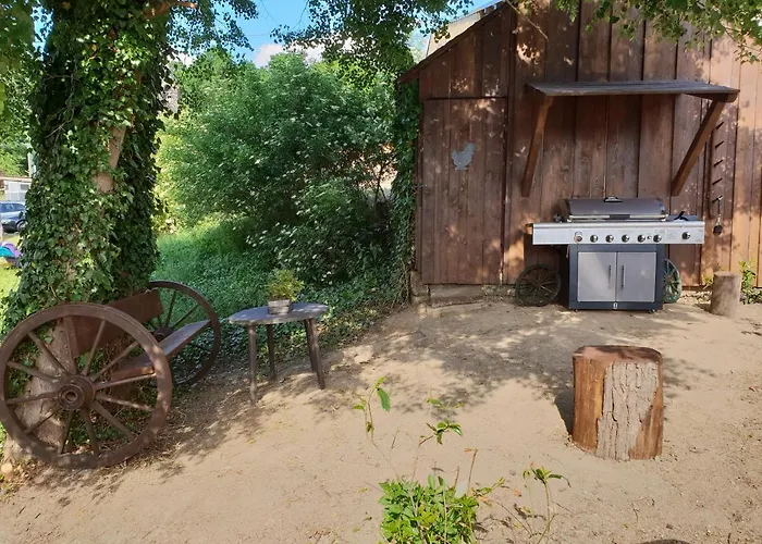 Moderne Black Beauty Auf Idyllischem Reiterhof Naehe Burg Eltz Münstermaifeld