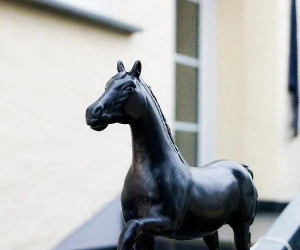 Lägenhet Moderne Black Beauty Auf Idyllischem Reiterhof Naehe Burg Eltz *