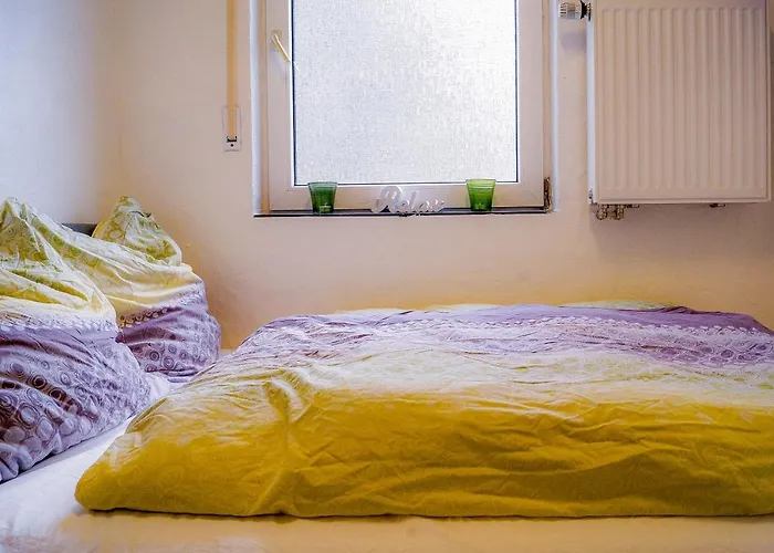 Moderne Black Beauty Auf Idyllischem Reiterhof Naehe Burg Eltz *