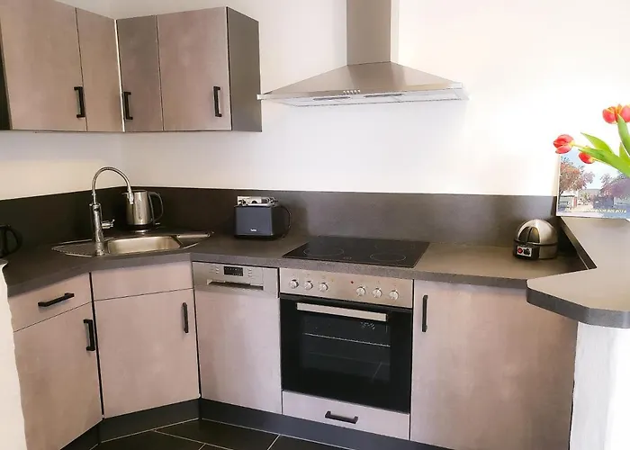 Moderne Black Beauty Auf Idyllischem Reiterhof Naehe Burg Eltz * Münstermaifeld