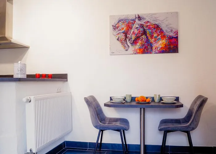 Moderne Black Beauty Auf Idyllischem Reiterhof Naehe Burg Eltz