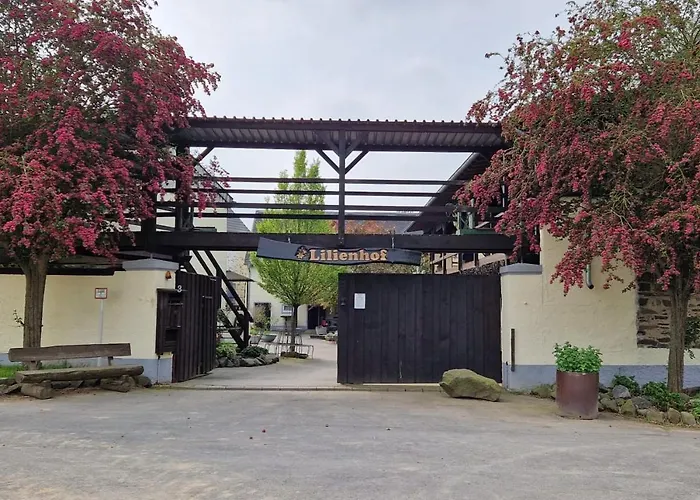 Moderne Black Beauty Auf Idyllischem Reiterhof Naehe Burg Eltz *