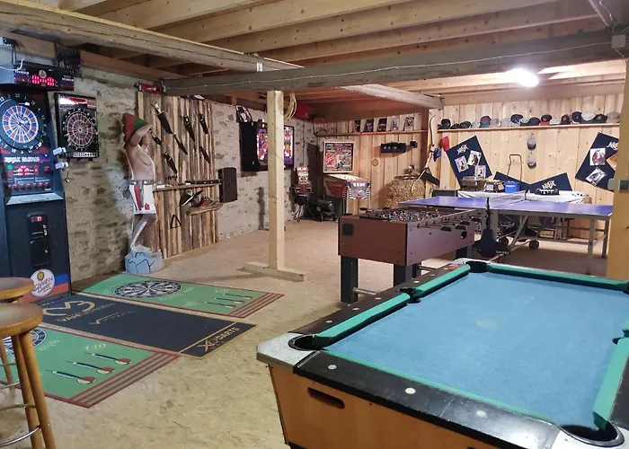 Moderne Black Beauty Auf Idyllischem Reiterhof Naehe Burg Eltz Münstermaifeld